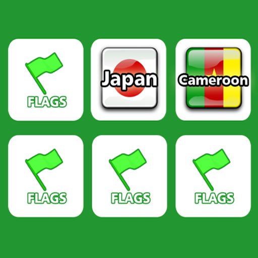 Memory with Flags